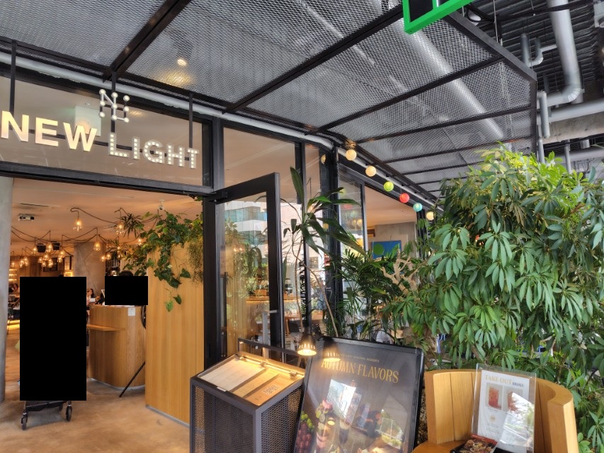 バルニバービ(3418)【株主優待利用】NEWLIGHT(ニューライト)で秋鮭とほうれん草のラザニア、本日のミニサラダ、ナポレオンチェリーパイ！