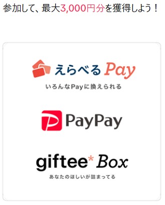 PayPay　TikTok Lite アマギフ　キャンペーン