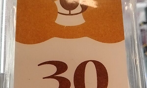 【優待利用】イオンファンタジー （4343） 「モーリーファンタジー(イオンモール京都桂川店)」で「よくばりパス30」を使ってきました！