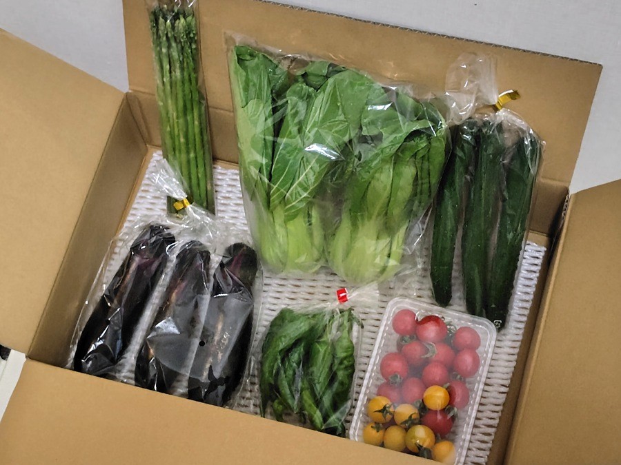 ヒューリック(3003)【株主優待】鳥取県産 野菜セット!2025年12月権利!