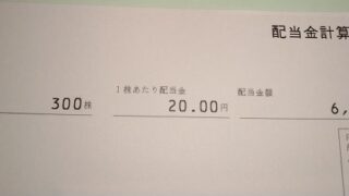 ヒューリック （3003）【配当】2021年12月期 期末配当が到着！ 300株で6,000円！！