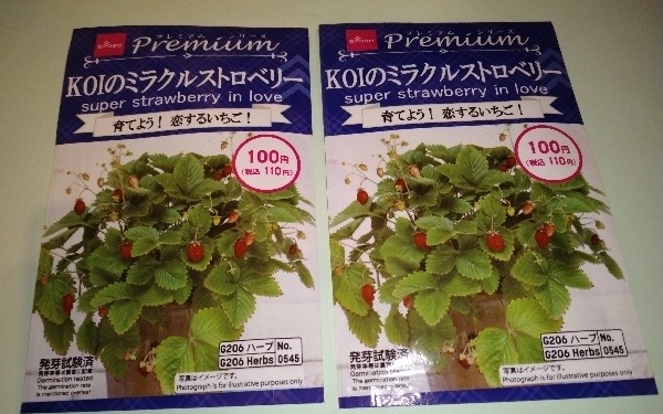 【園芸】ダイソーで種「KOIのミラクルストロベリー」を購入！ ダイソーの鳥よけシートや楽天市場で水耕栽培ポットで種をセットしてみました♪