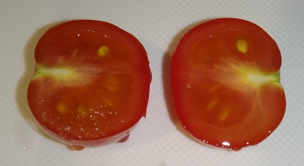【園芸】ダイソーの種「ズッキーニグリーン、うどんこ病に強いきゅうり」が発芽！ミニトマトの赤い実が増えてきたので1つ収穫！