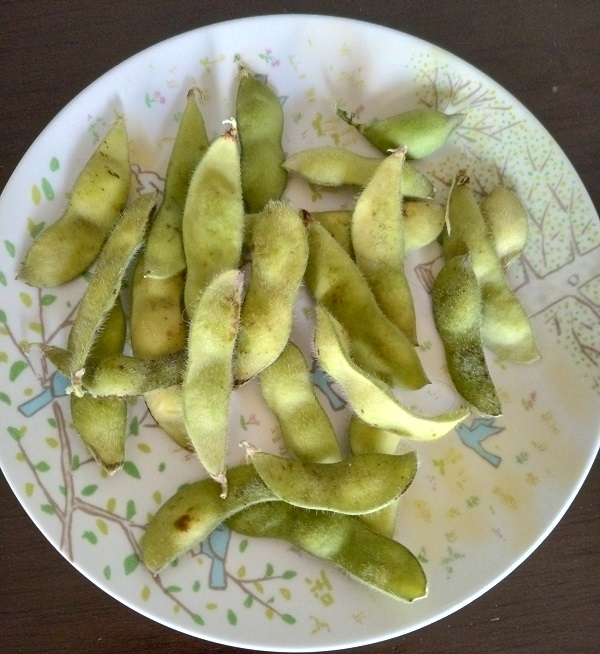 【園芸】枝豆、ニラを収穫！！ ダイソーで「赤玉ねぎ、吊り玉葱、泉州黄玉葱」の種を購入！