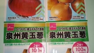 【園芸】枝豆、ニラを収穫！！ ダイソーで「赤玉ねぎ、吊り玉葱、泉州黄玉葱」の種を購入！