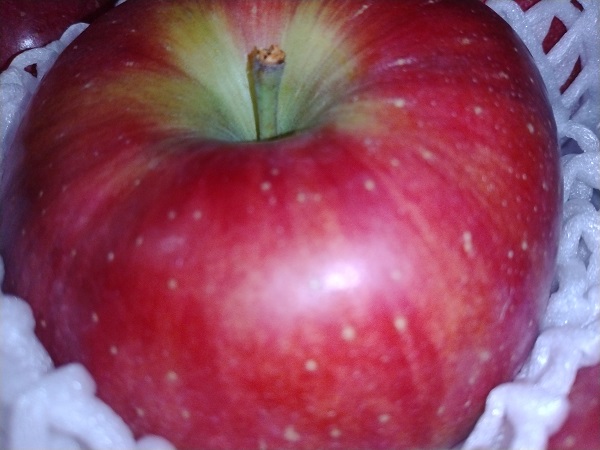 ヒューリック(3003)【株主優待】2021年12月権利の優待カタログで選んだ「山形県産 シナノスイート(りんご) 2kg」が到着！ジューシーでで甘さも強くほどよい酸味もあるバランスよい味わいのりんご！！