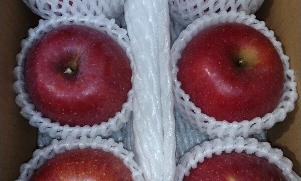 アドバンスクリエイト(8798)【株主優待】2022年9月権利のカタログギフトで選んだ「りんごの王様 サンふじりんご」が到着！