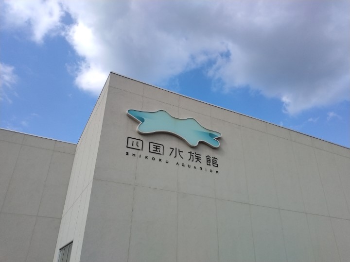 ウエスコホールディングス(6091)【株主優待】2024年7月権利の四国水族館、水族館「アトア」入場券が到着！