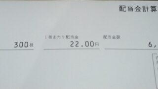 ヒューリック(3003)【株主優待】2022年12月期 期末配当が到着！300株で6,600円！