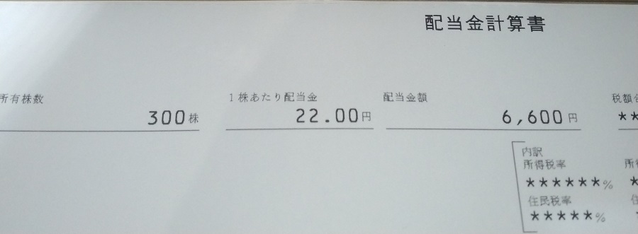 ヒューリック(3003)【株主優待】2022年12月期 期末配当が到着！300株で6,600円！
