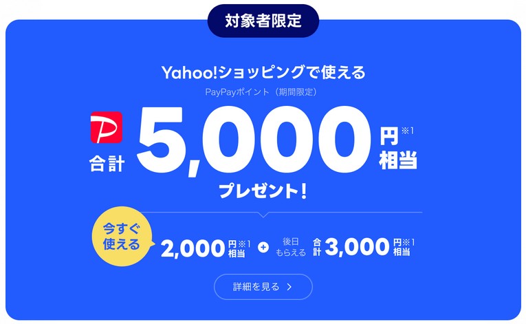 LYPプレミアム(旧Yahoo!プレミアム) PayPay 5000円