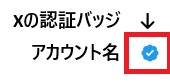 PayPayポイント無料配布！ポイ活ですぐにもらえる方法を紹介！