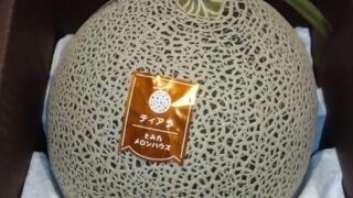 ヒューリック(3003)【株主優待】北海道富良野産 メロンが到着！2023年12月権利のカタログで選択！