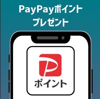 10分でわかる！日本財託の不動産投資ガイドを解説！個別相談でPayPayポイント5,000円分をプレゼント！
