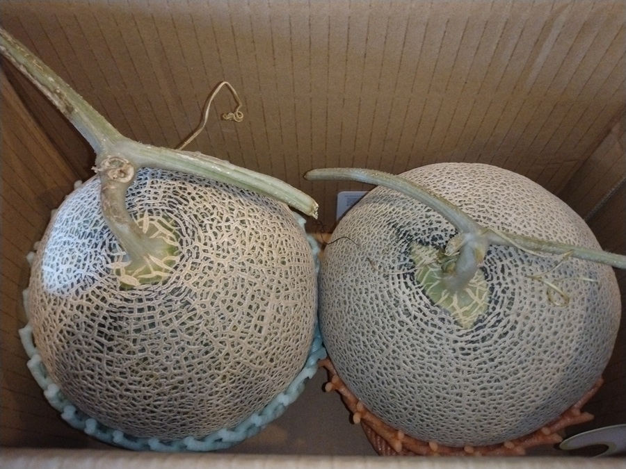 第四北越フィナンシャルグループ(7327)【株主優待】新潟県を中心とした特産品カタログ！いつ届く？カタログの内容は？