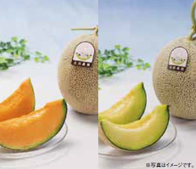 第四北越フィナンシャルグループ(7327)【株主優待】新潟県を中心とした特産品カタログ！いつ届く？カタログの内容は？