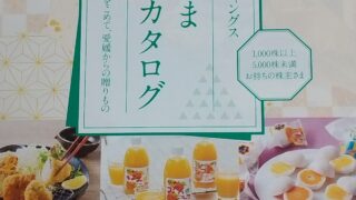 いよぎんホールディングス(5830)【株主優待】愛媛県を中心とした特産品カタログ！いつ届く？カタログの内容は？
