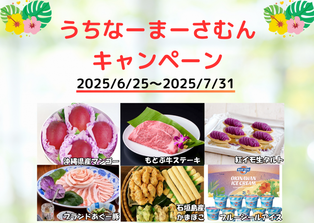 【ポケットファンディング】再・茨城ファンド１号（一次募集）【一部不動産担保付】！うちなーまーさむんキャンペーン2025対象ファンド！