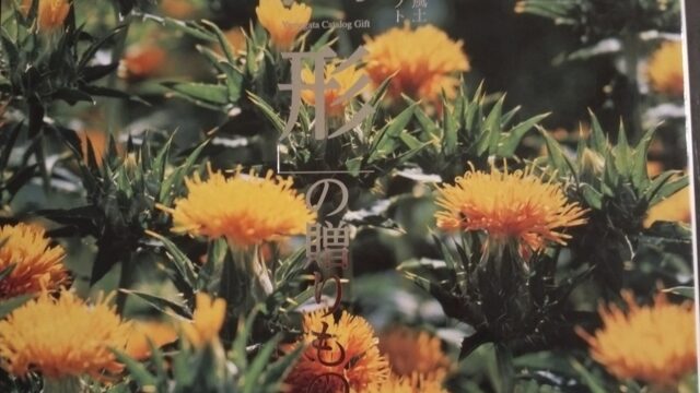 山形銀行(8344)【株主優待】山形県を中心とした特産品カタログ！いつ届く？カタログの内容は？