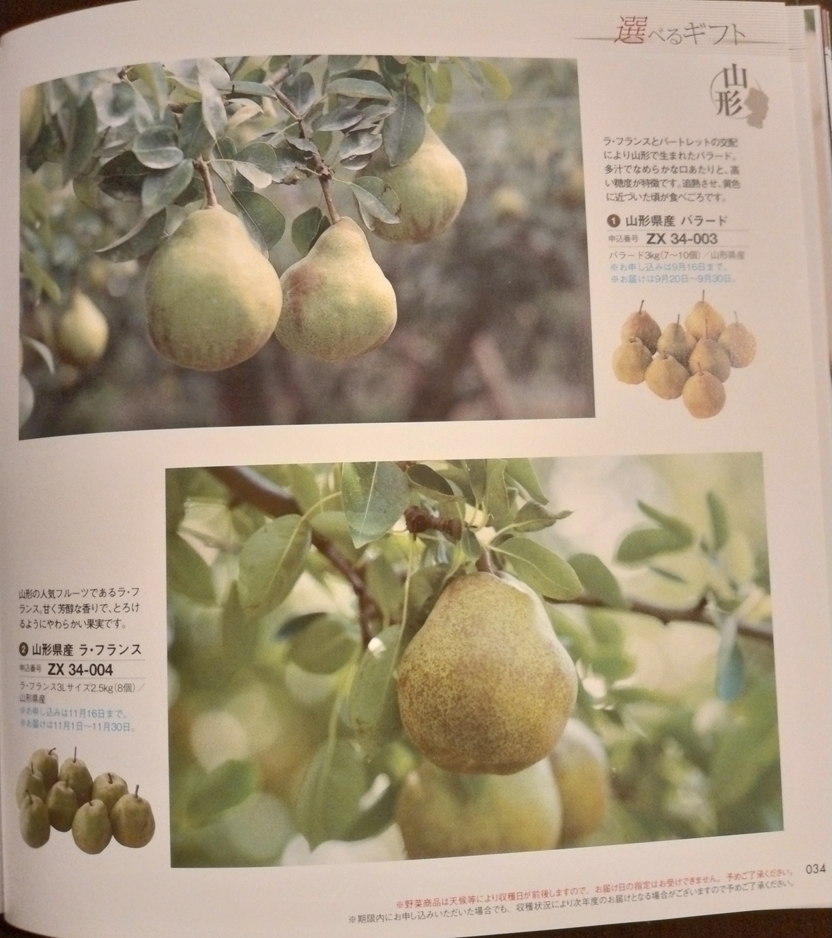 山形銀行(8344)【株主優待】山形県を中心とした特産品カタログ！いつ届く？カタログの内容は？