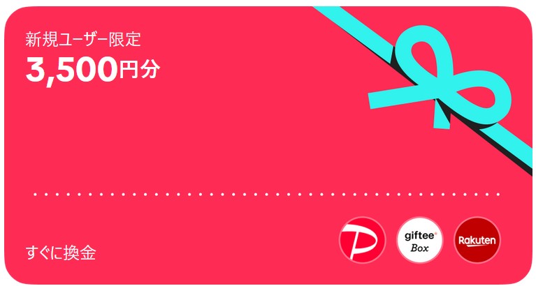 TikTok ポイ活 PayPay