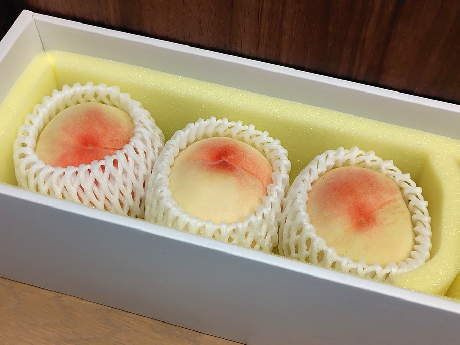 ちゅうぎんフィナンシャルグループ(5832)【株主優待】岡山県特産品のカタログ!いつ届く?内容や申し込み方法を解説!