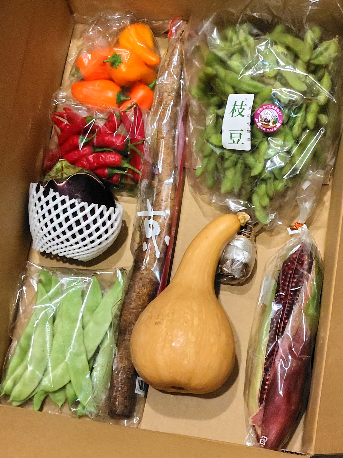エムケー精工(5906)【株主優待】豪華カタログやQUOカードPay!いつ届く?内容や企業概要を徹底解説